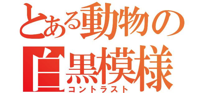 とある動物の白黒模様（コントラスト）