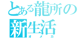 とある龍所の新生活（オメカ）