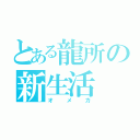 とある龍所の新生活（オメカ）