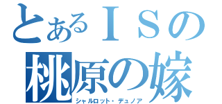 とあるＩＳの桃原の嫁（シャルロット・デュノア）