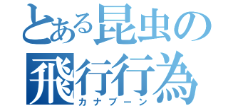 とある昆虫の飛行行為（カナブーン）