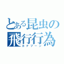 とある昆虫の飛行行為（カナブーン）