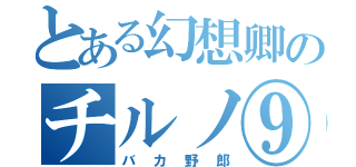 とある幻想卿のチルノ⑨（バカ野郎）