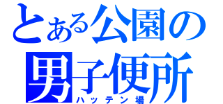 とある公園の男子便所（ハッテン場）