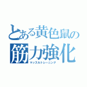 とある黄色鼠の筋力強化（マッスルトレーニング）