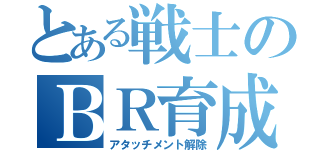 とある戦士のＢＲ育成（アタッチメント解除）