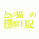 とある猫の観察日記（ポヨ）