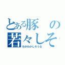 とある豚の若々しそうる（わかわかしそうる）