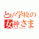 とある学校の女神さま（とんがっちゃん）