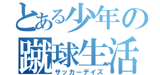 とある少年の蹴球生活Ⅱ（サッカーデイズ）