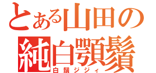 とある山田の純白顎鬚（白鬚ジジィ）