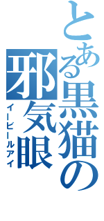 とある黒猫の邪気眼（イービールアイ）
