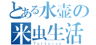 とある水壶の米虫生活（Ｔｏｒｔｏｉｓｅ）