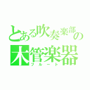 とある吹奏楽部の木管楽器（フルート）