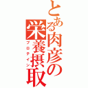 とある肉彦の栄養摂取（プロテイン）