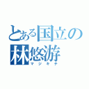 とある国立の林悠游（マジキチ）