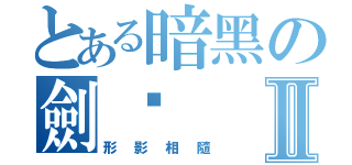 とある暗黑の劍姬Ⅱ（形影相隨）