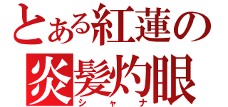 とある紅蓮の炎髪灼眼（シャナ）