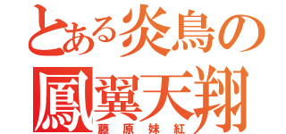 とある炎鳥の鳳翼天翔（藤原妹紅）