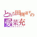 とある田渕遥平の愛菜充 ♥（ロリコン！！）