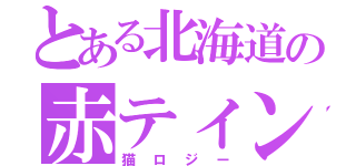 とある北海道の赤ティンファン（猫ロジー）