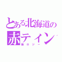 とある北海道の赤ティンファン（猫ロジー）