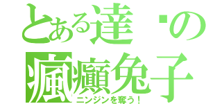 とある達醬の瘋癲兔子（ニンジンを奪う！）