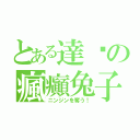 とある達醬の瘋癲兔子（ニンジンを奪う！）