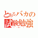 とあるバカの試験勉強（（´・ω・｀））