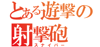 とある遊撃の射撃砲（スナイパー）