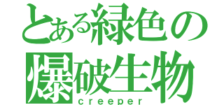 とある緑色の爆破生物（ｃｒｅｅｐｅｒ）