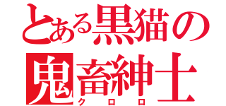 とある黒猫の鬼畜紳士（クロロ）