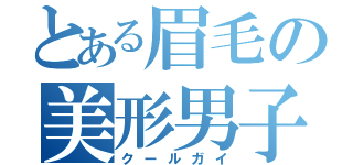 とある眉毛の美形男子（クールガイ）