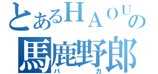 とあるＨＡＯＵの馬鹿野郎（バカ）