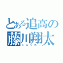 とある追高の藤川翔太（ショッカー）