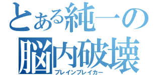 とある純一の脳内破壊（ブレインブレイカー）