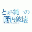 とある純一の脳内破壊（ブレインブレイカー）