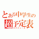 とある中学生の超予定表（スケジュール）