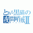 とある黒猫の夜間哨戒Ⅱ（サーニャ）