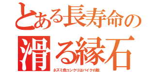 とある長寿命の滑る縁石（ネズミ色コンクリはバイクの敵）