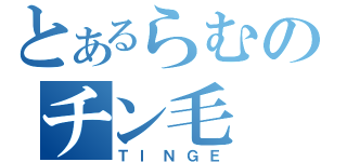 とあるらむのチン毛（ＴＩＮＧＥ）