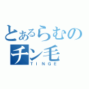 とあるらむのチン毛（ＴＩＮＧＥ）