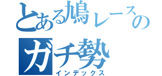 とある鳩レースのガチ勢（インデックス）