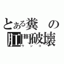 とある糞の肛門破壊（ウンコ）