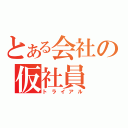 とある会社の仮社員（トライアル）