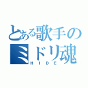 とある歌手のミドリ魂（ＨＩＤＥ）