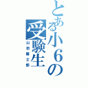 とある小６の受験生（山田馨士郎）