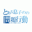 とある息子のの問題行動（やっちまったな）