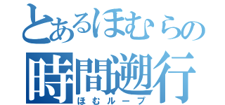 とあるほむらの時間遡行（ほむループ）