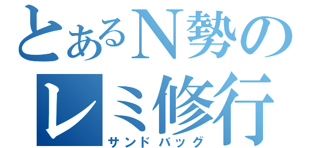 とあるＮ勢のレミ修行（サンドバッグ）